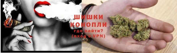 spice Пересвет
