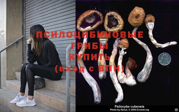 mdpv Пестово