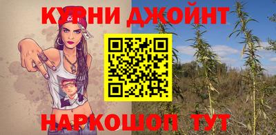 молекула духа Бийск