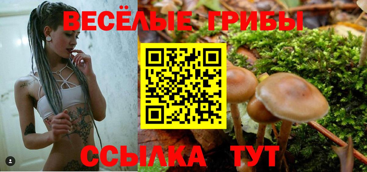 наркотики  Прохладный  Псилоцибиновые грибы ЛСД 